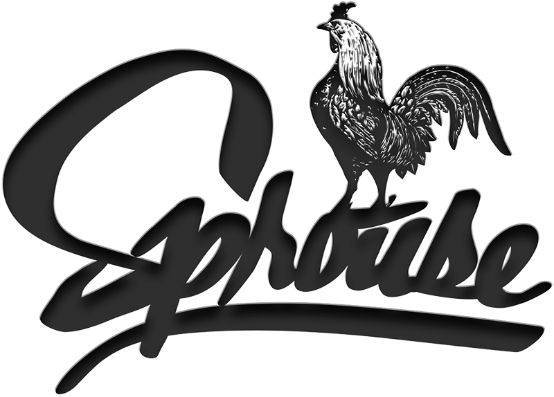 Sprouse Paintless Dent Removal logo